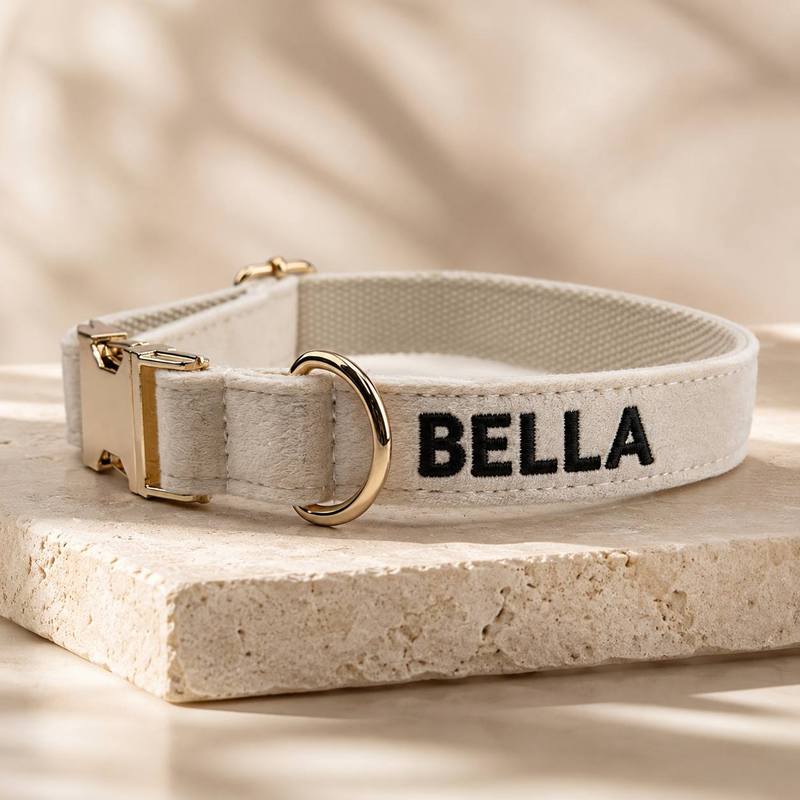 Individuell bestickte Halsbänd – Embroidery Name Designs Bewertung und Preis